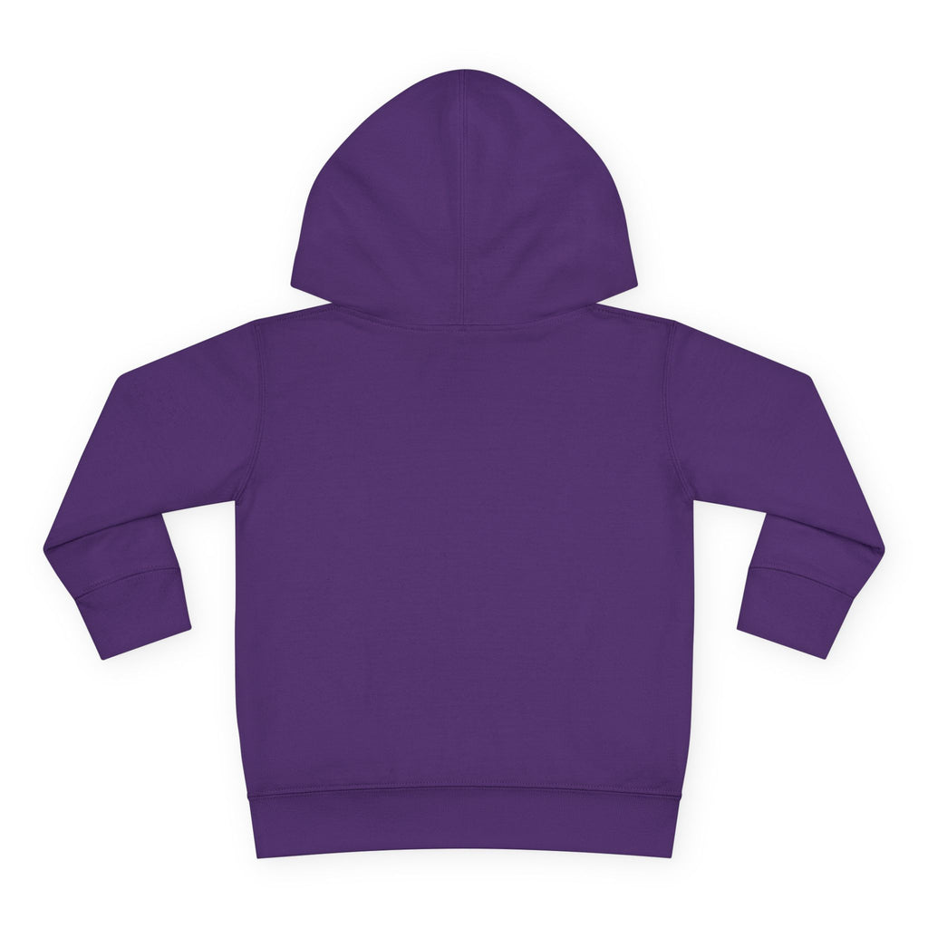 Toddler Hoodie - Wanderer From The Stars' Space Graphic Pullover