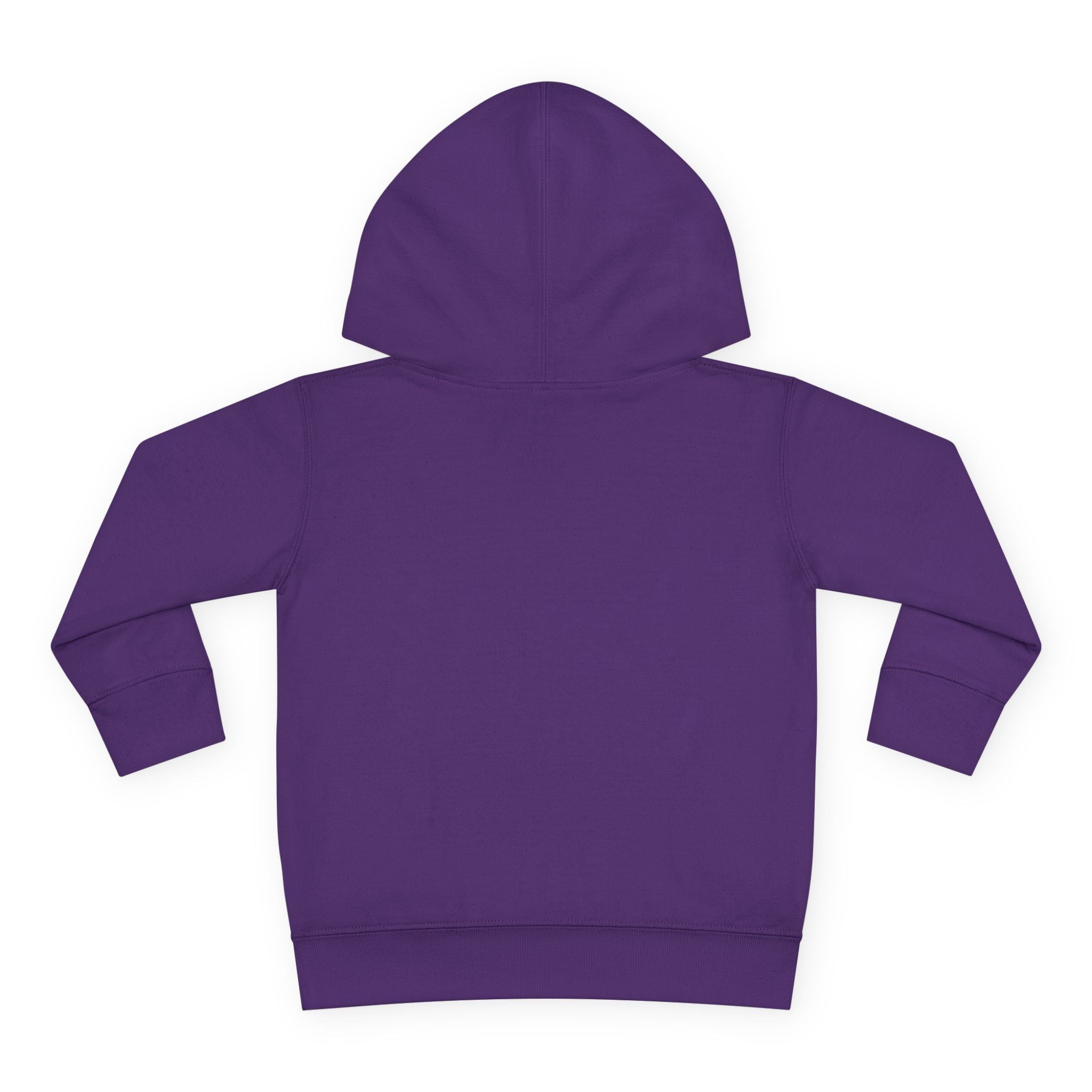 Toddler Hoodie - Wanderer From The Stars' Space Graphic Pullover