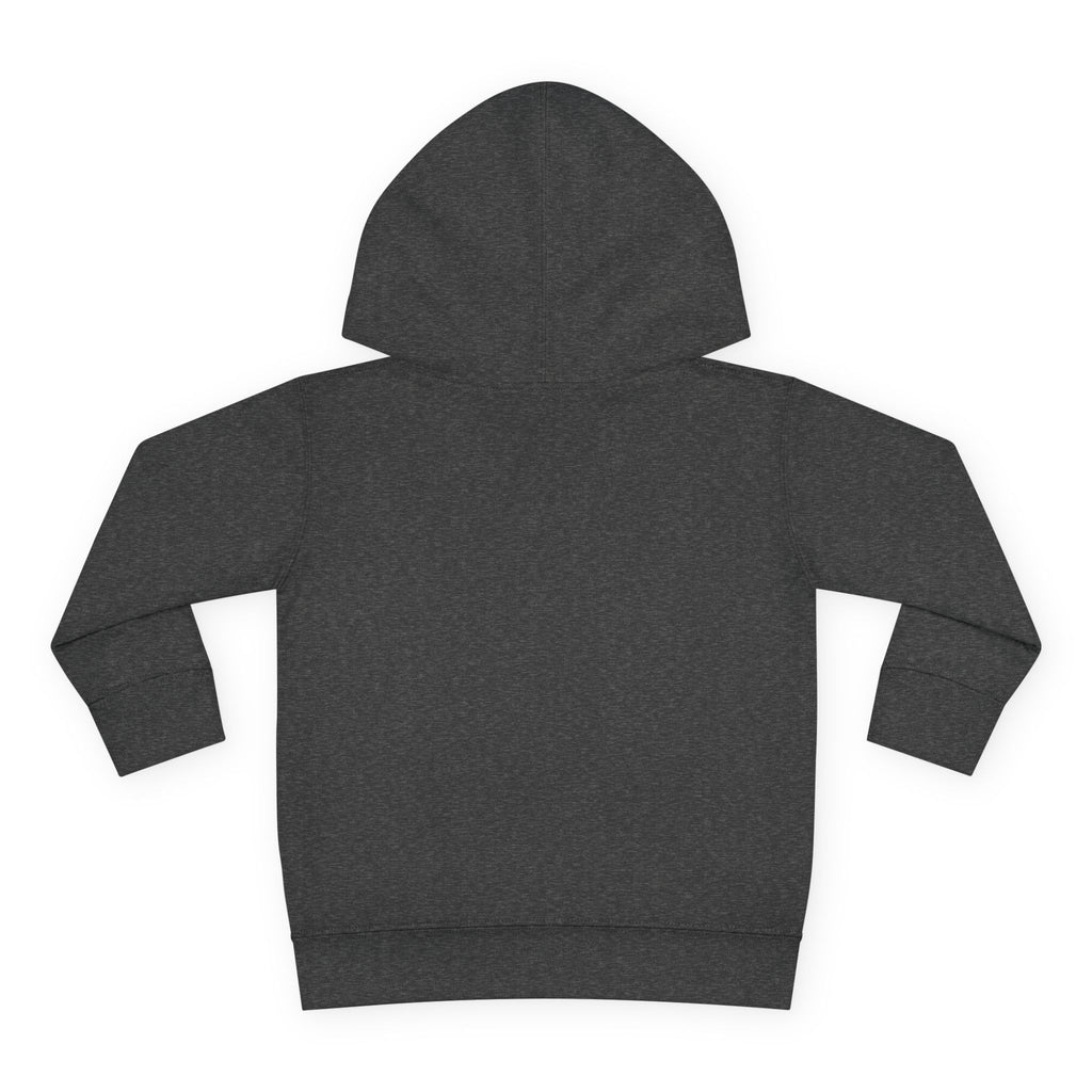 Toddler Hoodie - Wanderer From The Stars' Space Graphic Pullover