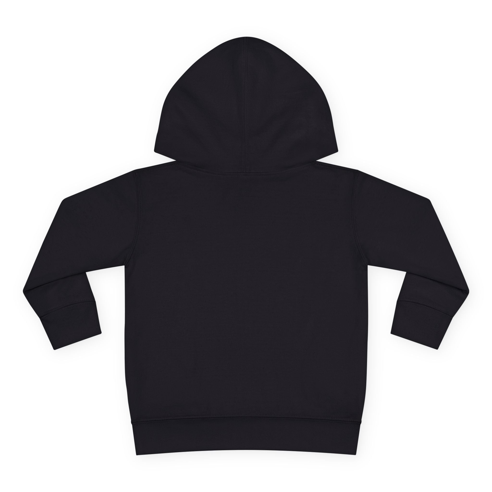 Toddler Hoodie - Wanderer From The Stars' Space Graphic Pullover