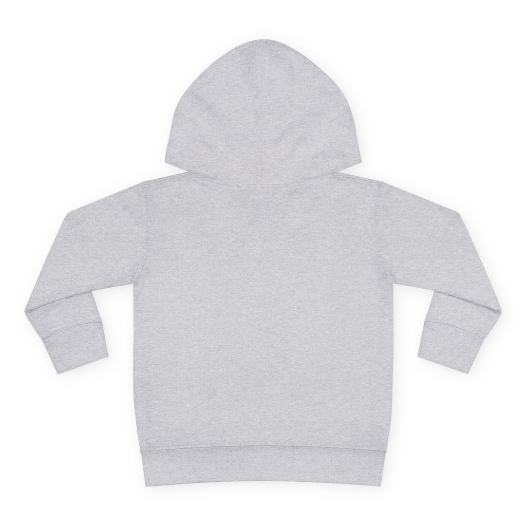 Toddler Hoodie - Wanderer From The Stars' Space Graphic Pullover