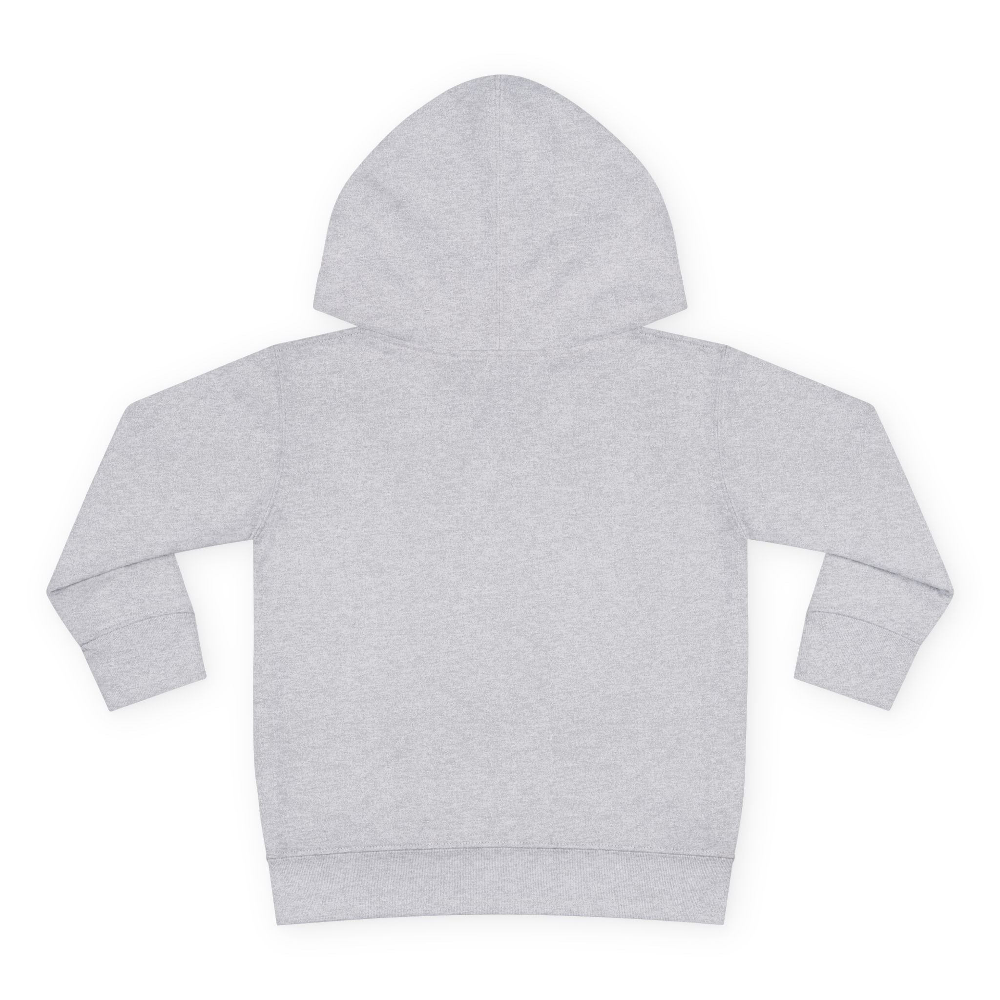 Toddler Hoodie - Wanderer From The Stars' Space Graphic Pullover