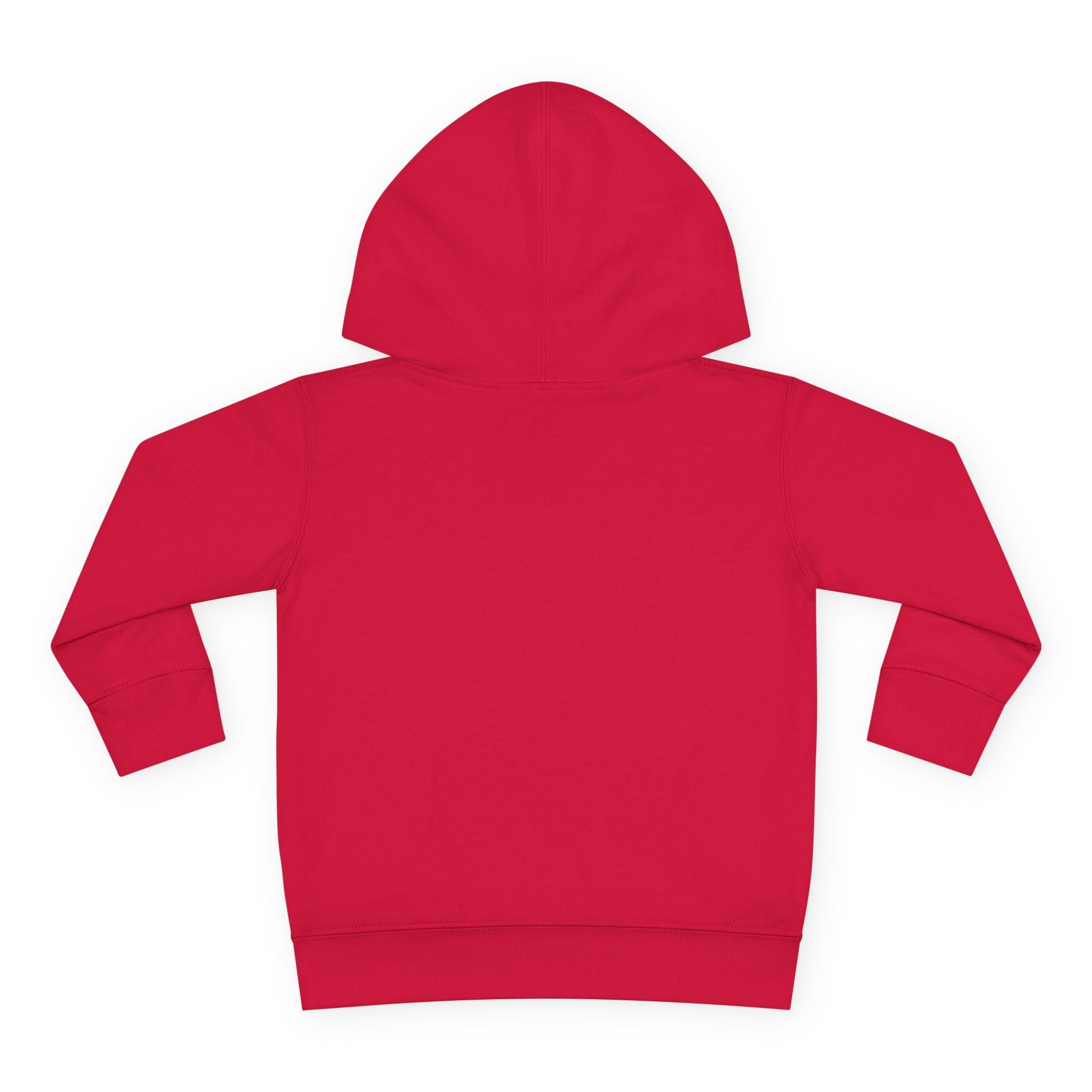 Toddler Hoodie - Wanderer From The Stars' Space Graphic Pullover