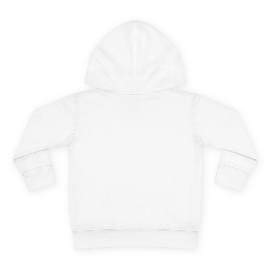 Toddler Hoodie - Wanderer From The Stars' Space Graphic Pullover