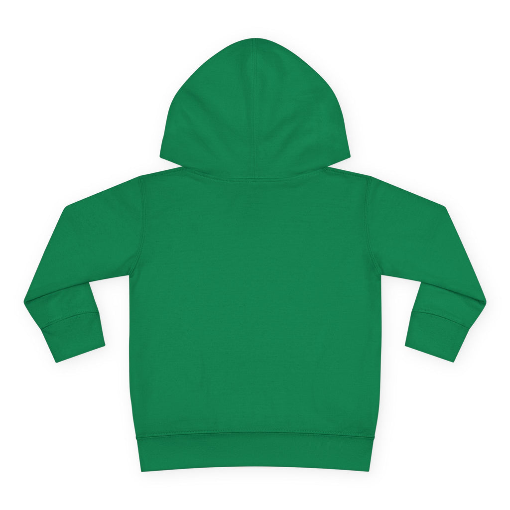 Toddler Hoodie - Wanderer From The Stars' Space Graphic Pullover