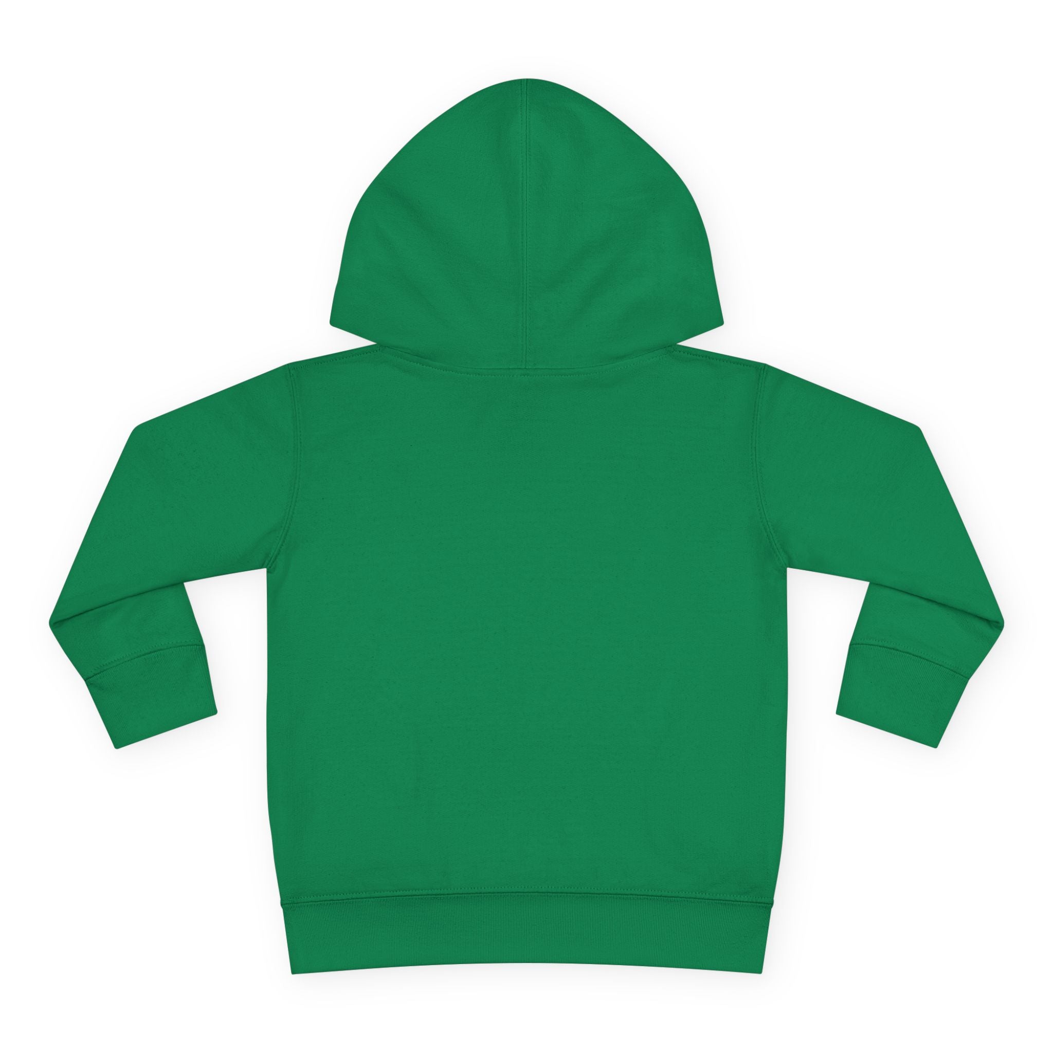 Toddler Hoodie - Wanderer From The Stars' Space Graphic Pullover