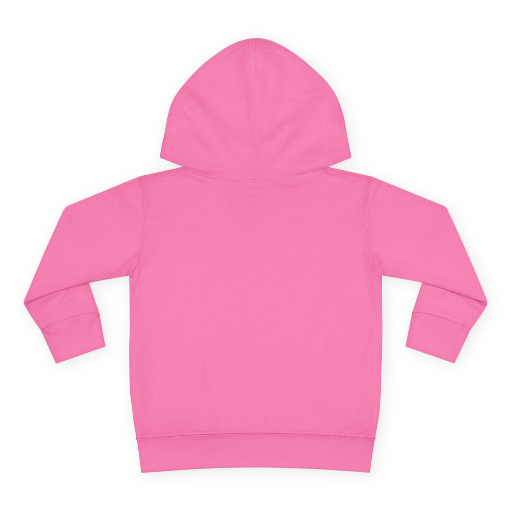 Toddler Hoodie - Wanderer From The Stars' Space Graphic Pullover