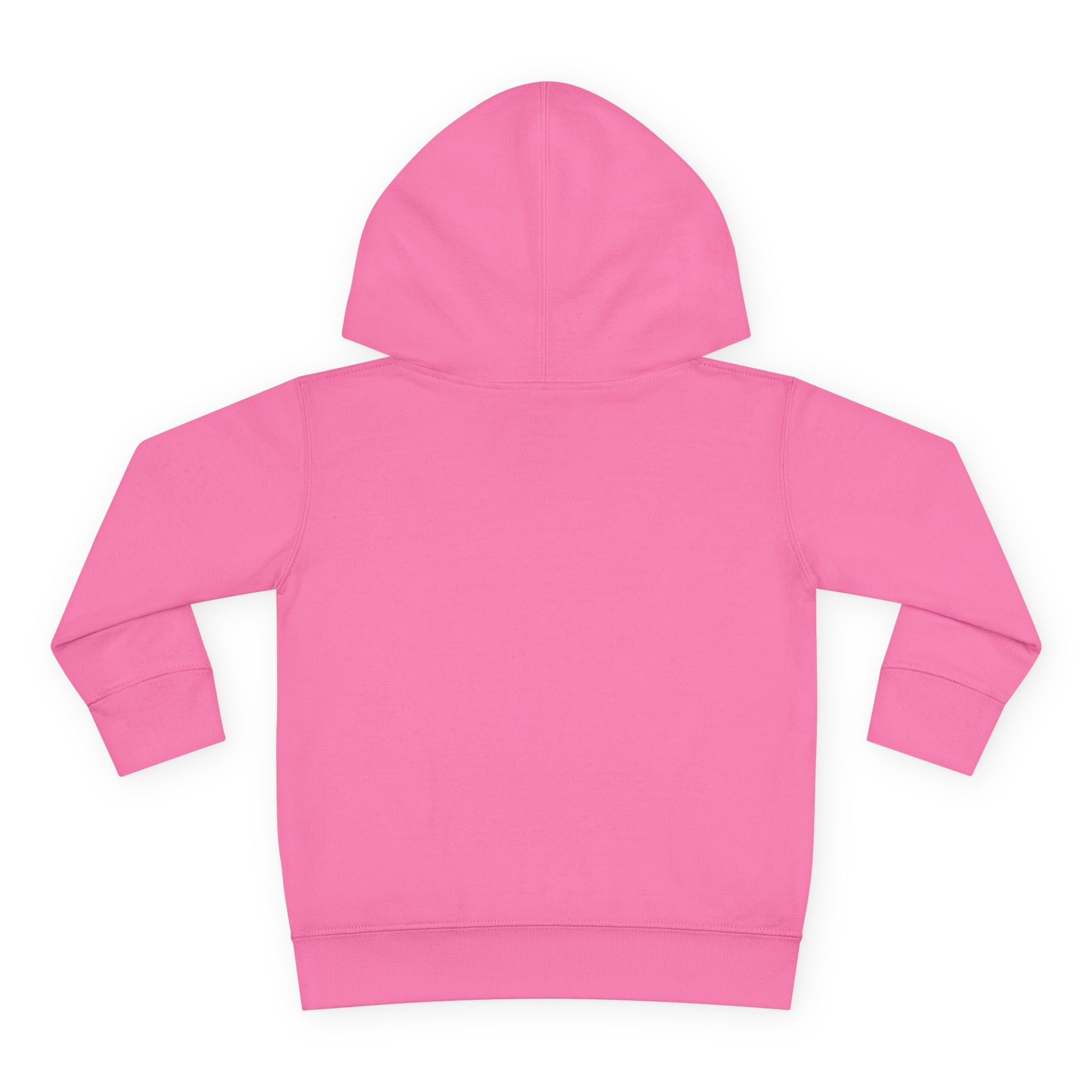 Toddler Hoodie - Wanderer From The Stars' Space Graphic Pullover