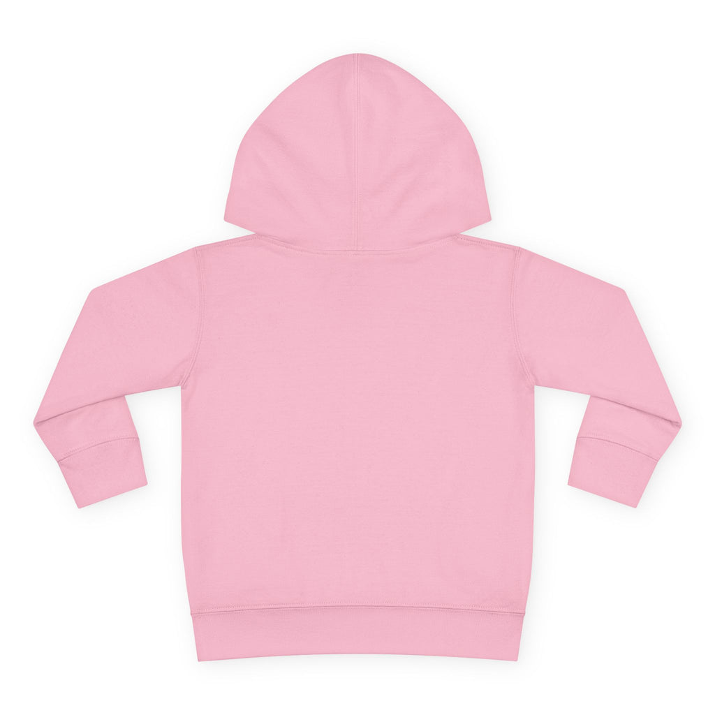 Toddler Hoodie - Wanderer From The Stars' Space Graphic Pullover