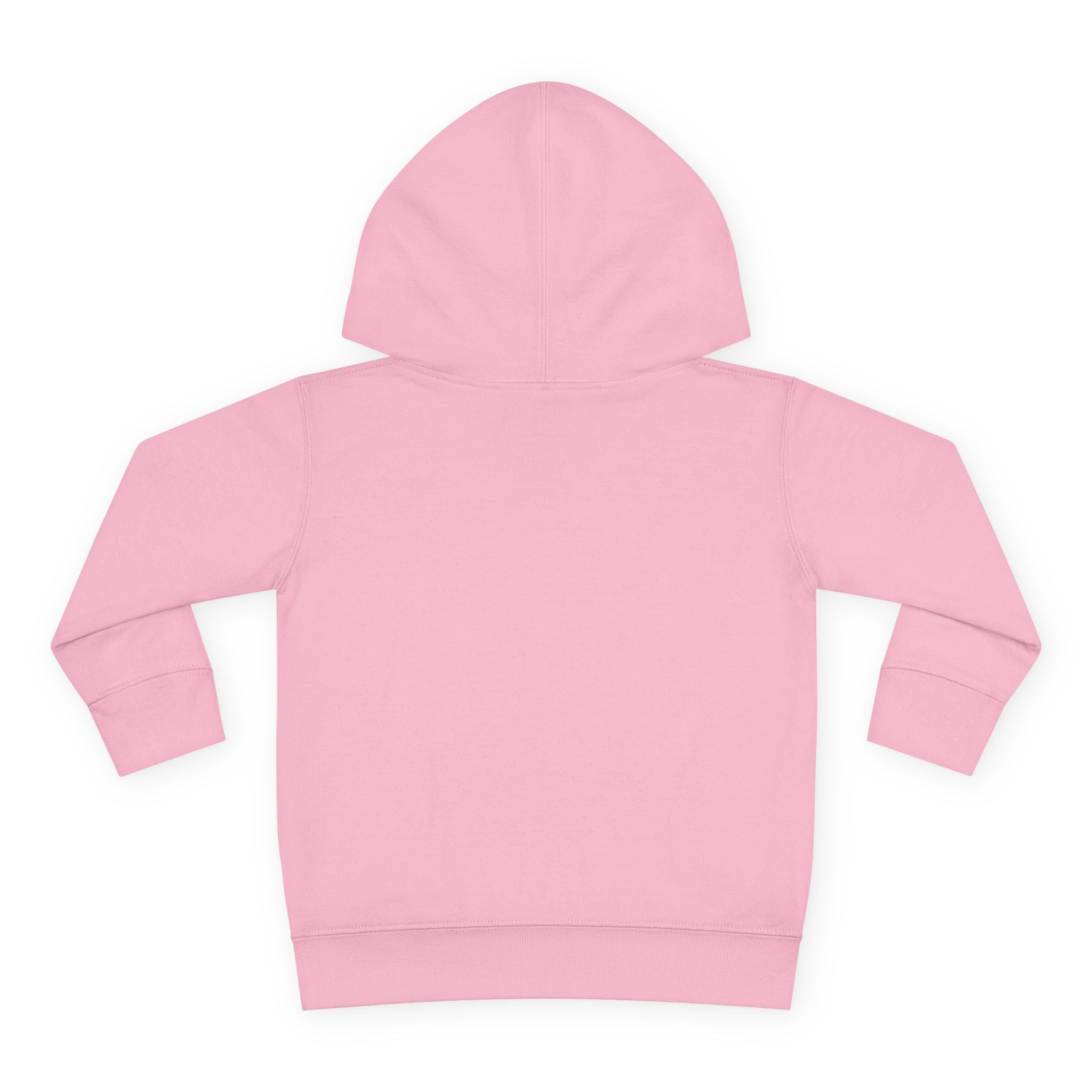 Toddler Hoodie - Wanderer From The Stars' Space Graphic Pullover