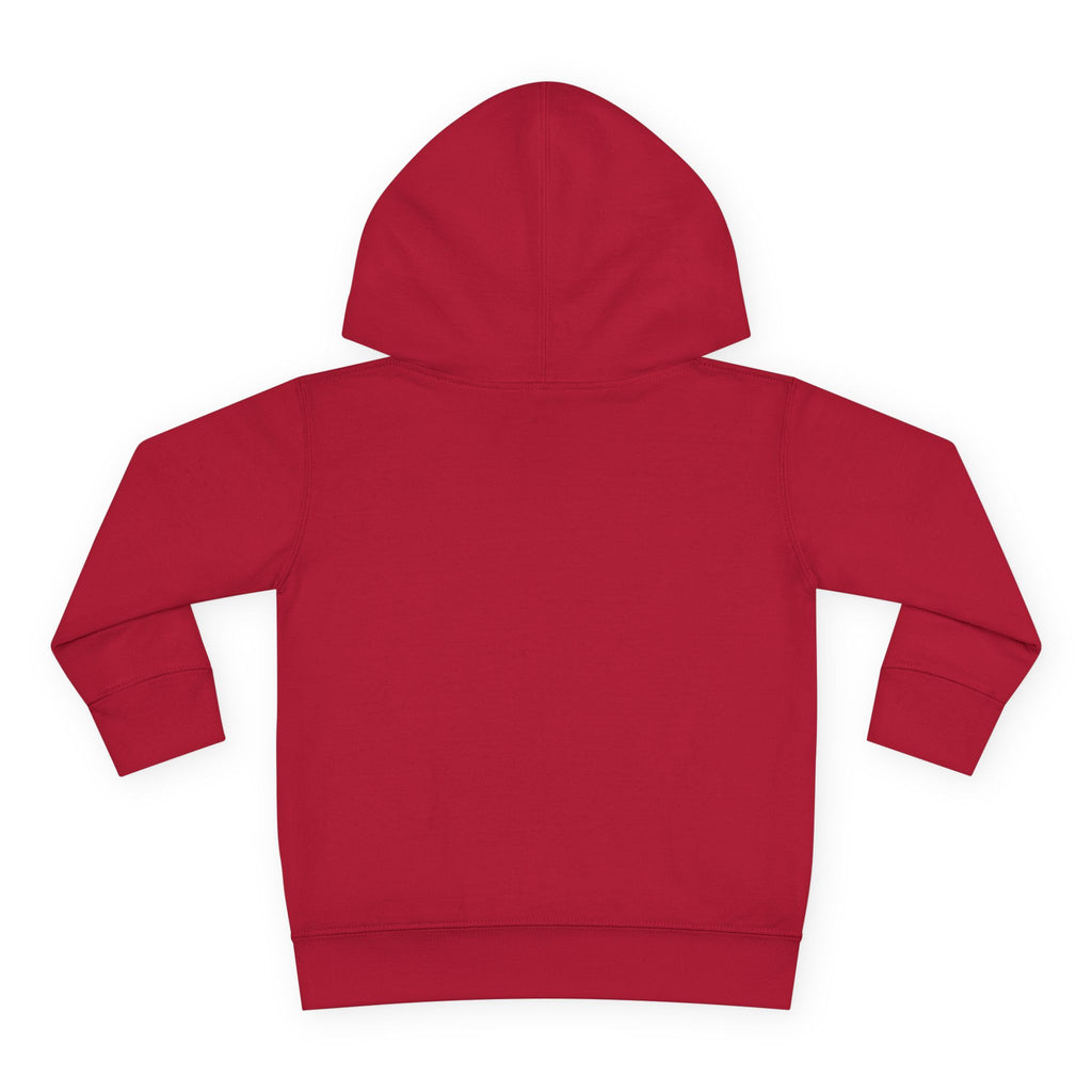 Toddler Hoodie - Wanderer From The Stars' Space Graphic Pullover
