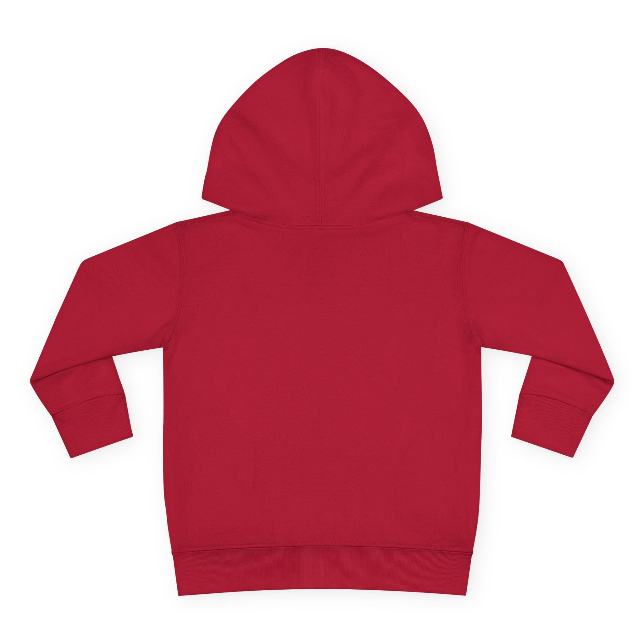 Toddler Hoodie - Wanderer From The Stars' Space Graphic Pullover