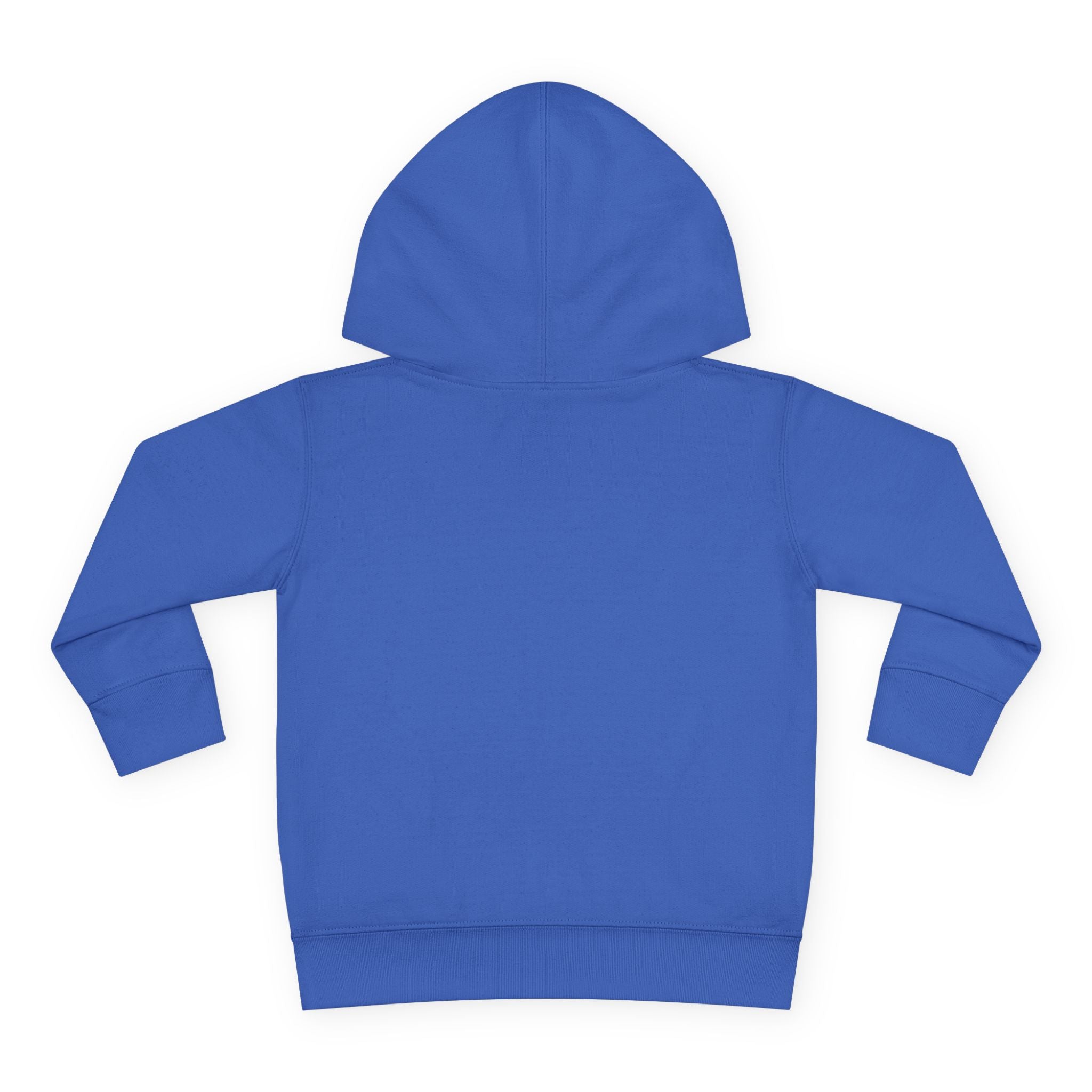 Toddler Hoodie - Wanderer From The Stars' Space Graphic Pullover