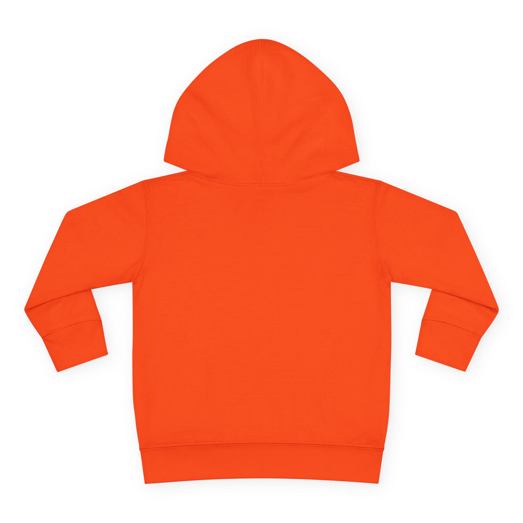 Toddler Hoodie - Wanderer From The Stars' Space Graphic Pullover