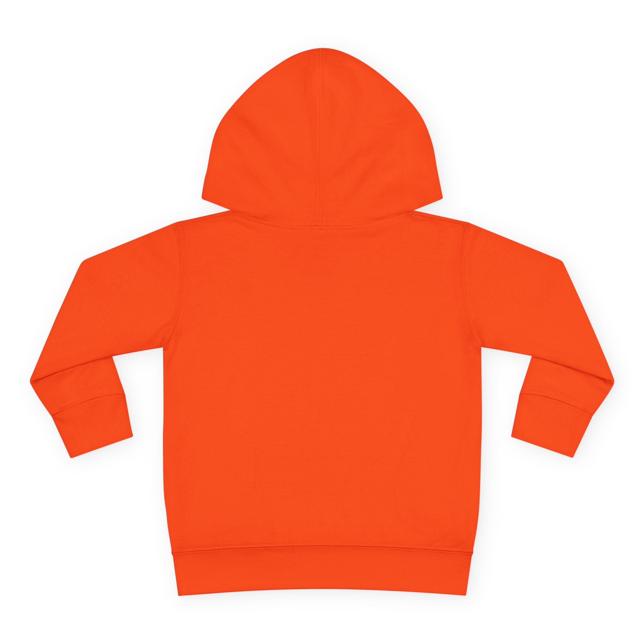 Toddler Hoodie - Wanderer From The Stars' Space Graphic Pullover