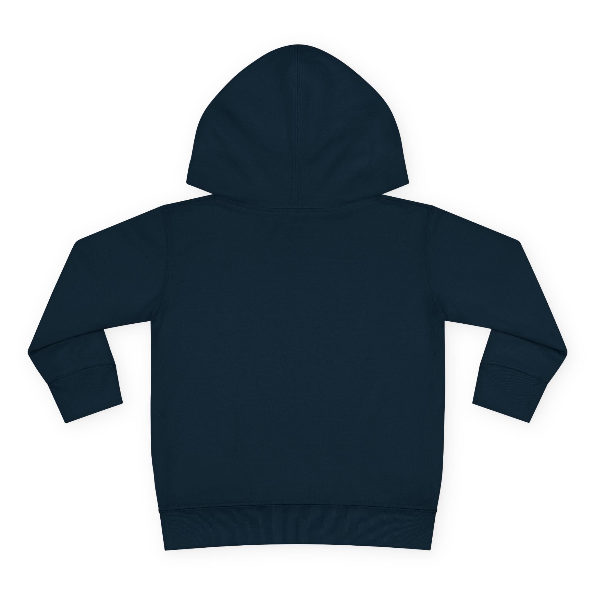 Toddler Hoodie - Wanderer From The Stars' Space Graphic Pullover