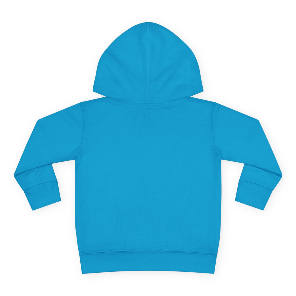 Toddler Hoodie - Wanderer From The Stars' Space Graphic Pullover