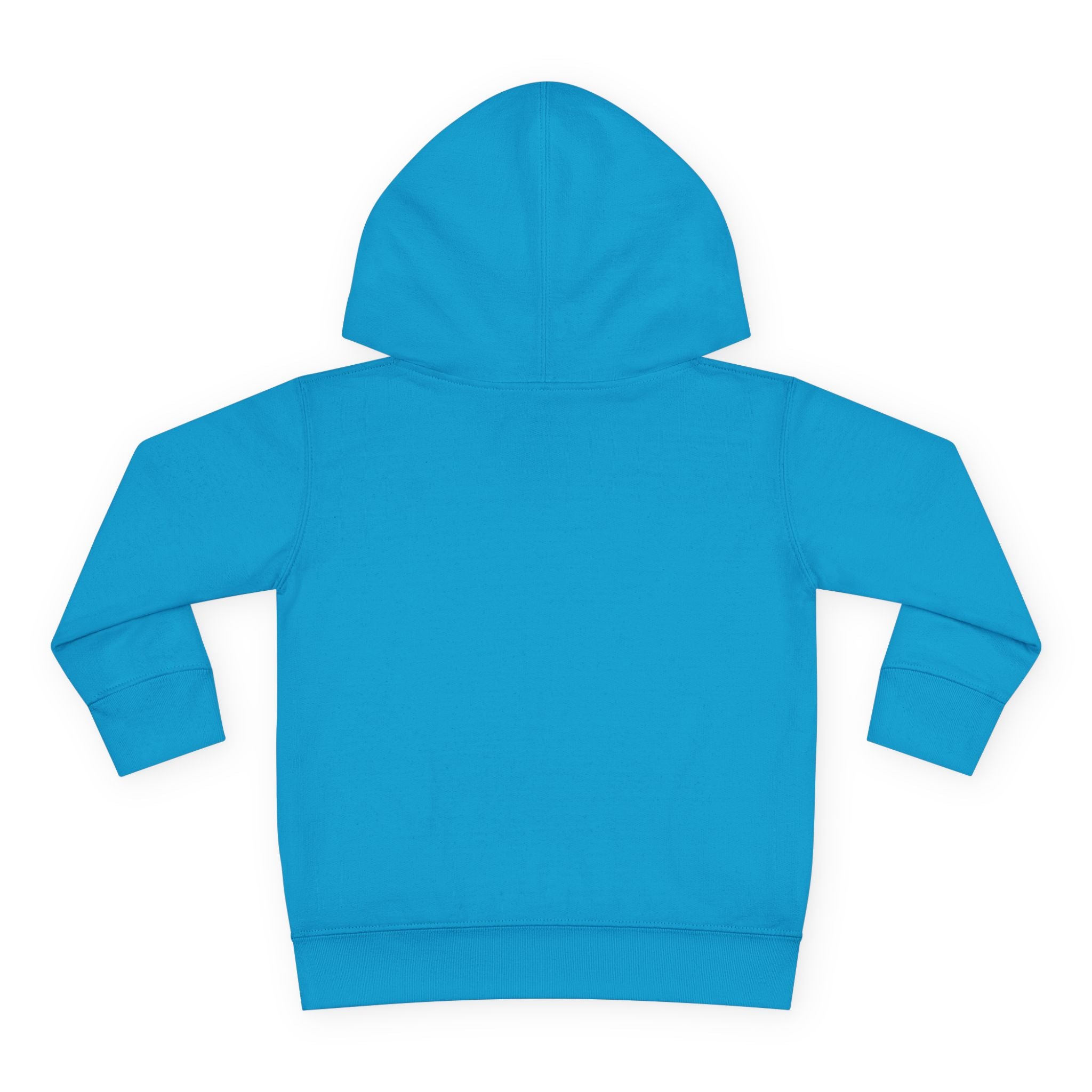 Toddler Hoodie - Wanderer From The Stars' Space Graphic Pullover