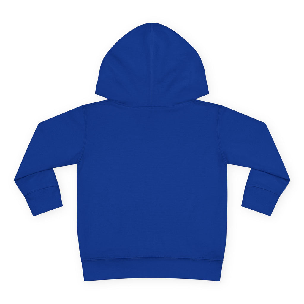 Toddler Hoodie - Wanderer From The Stars' Space Graphic Pullover
