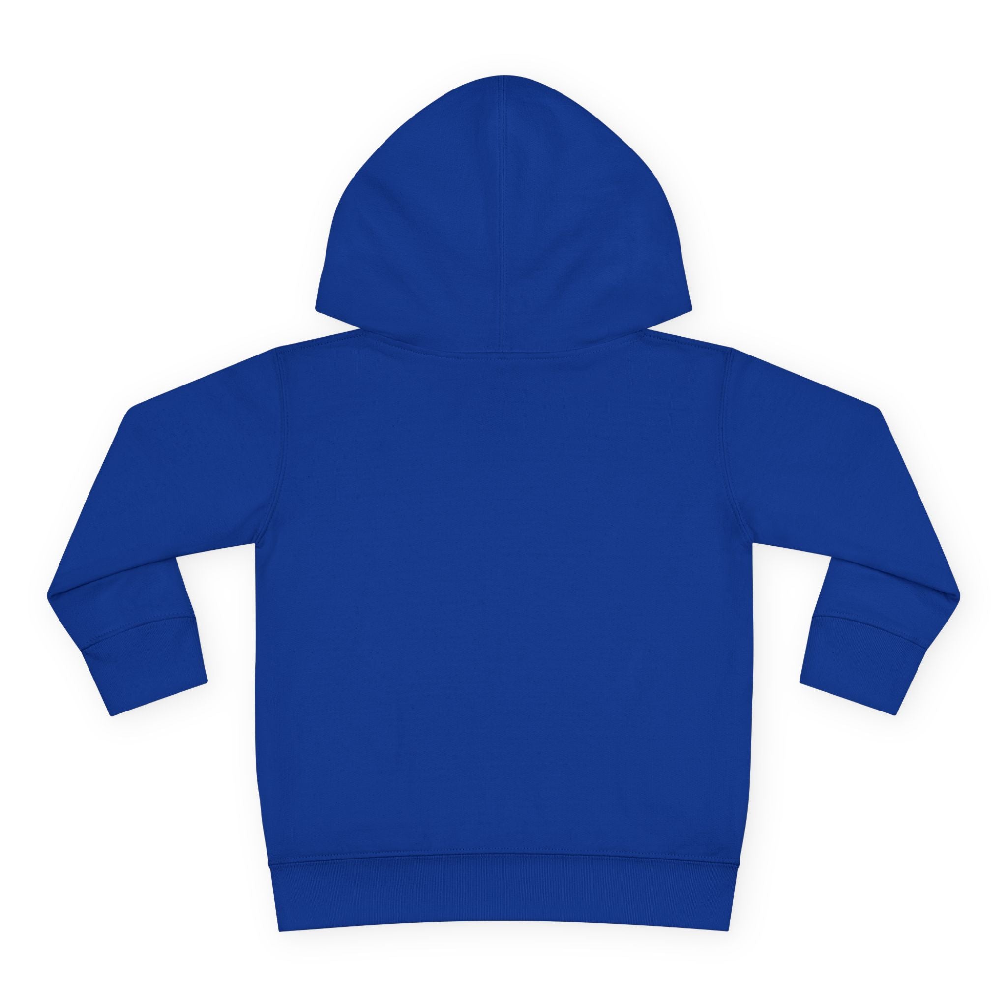 Toddler Hoodie - Wanderer From The Stars' Space Graphic Pullover