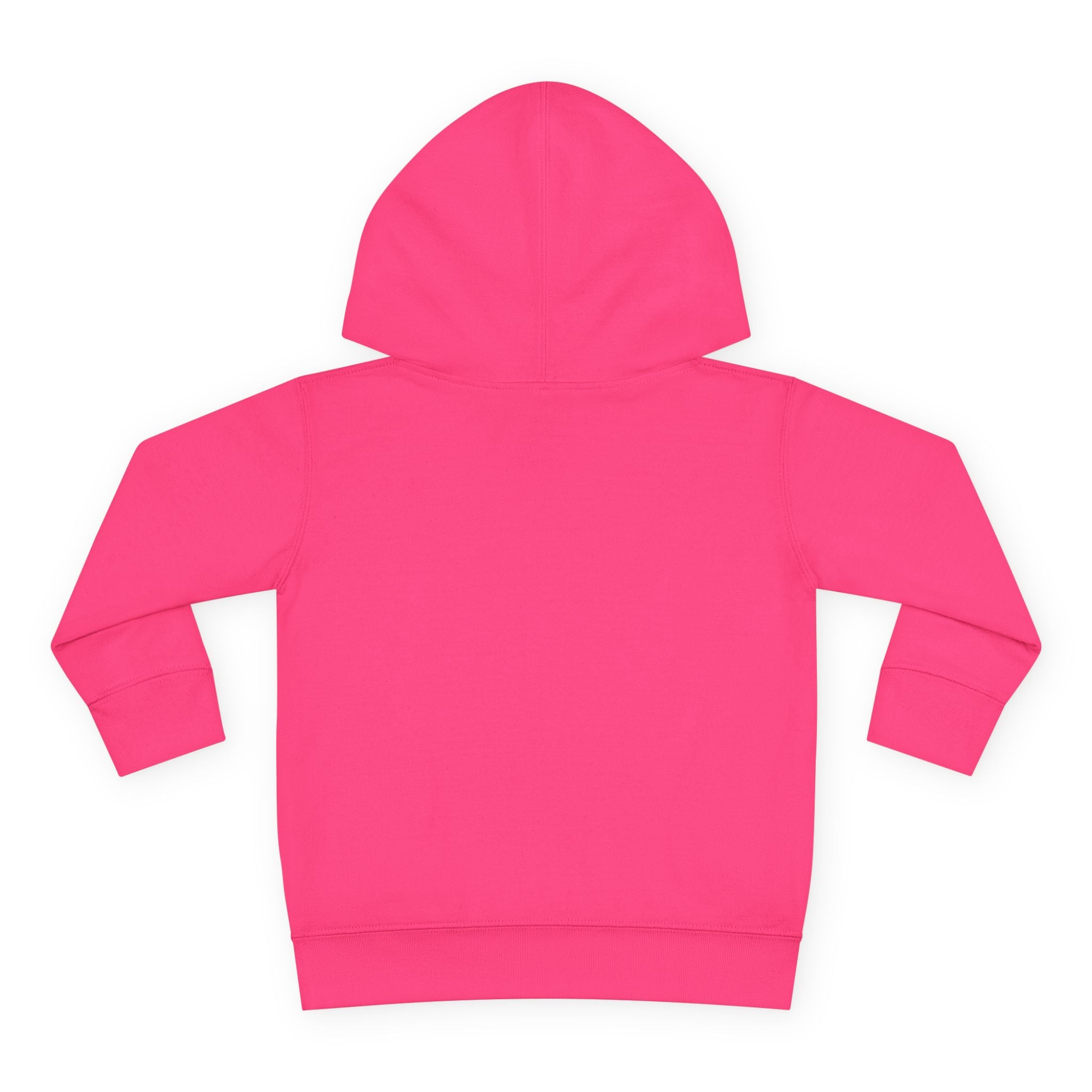 Toddler Hoodie - Wanderer From The Stars' Space Graphic Pullover